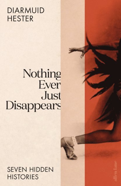 Diarmuid Hester - Nothing Ever Just Disappears, E-bok