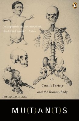 Armand Marie LeRoi - Mutants: On Genetic Variety and the Human Body, Häftad