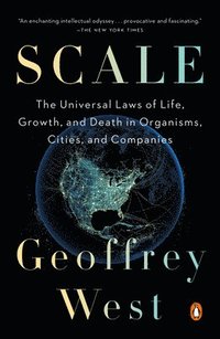 Scale: The Universal Laws of Life, Growth, and Death in Organisms, Cities, and Companies