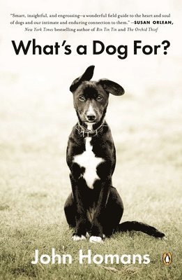 John Homans - What's a Dog For?: The Surprising History, Science, Philosophy, and Politics of Man's Best Friend, Häftad