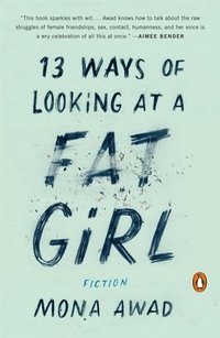 13 Ways of Looking at a Fat Girl