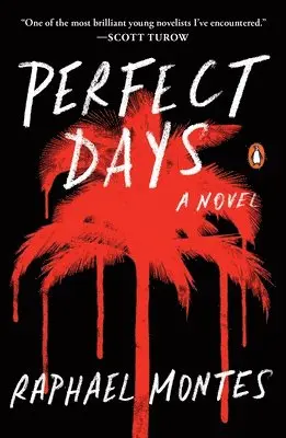 Raphael Montes - Perfect Days, Häftad. Tillgänglighet: Lägg i varukorg