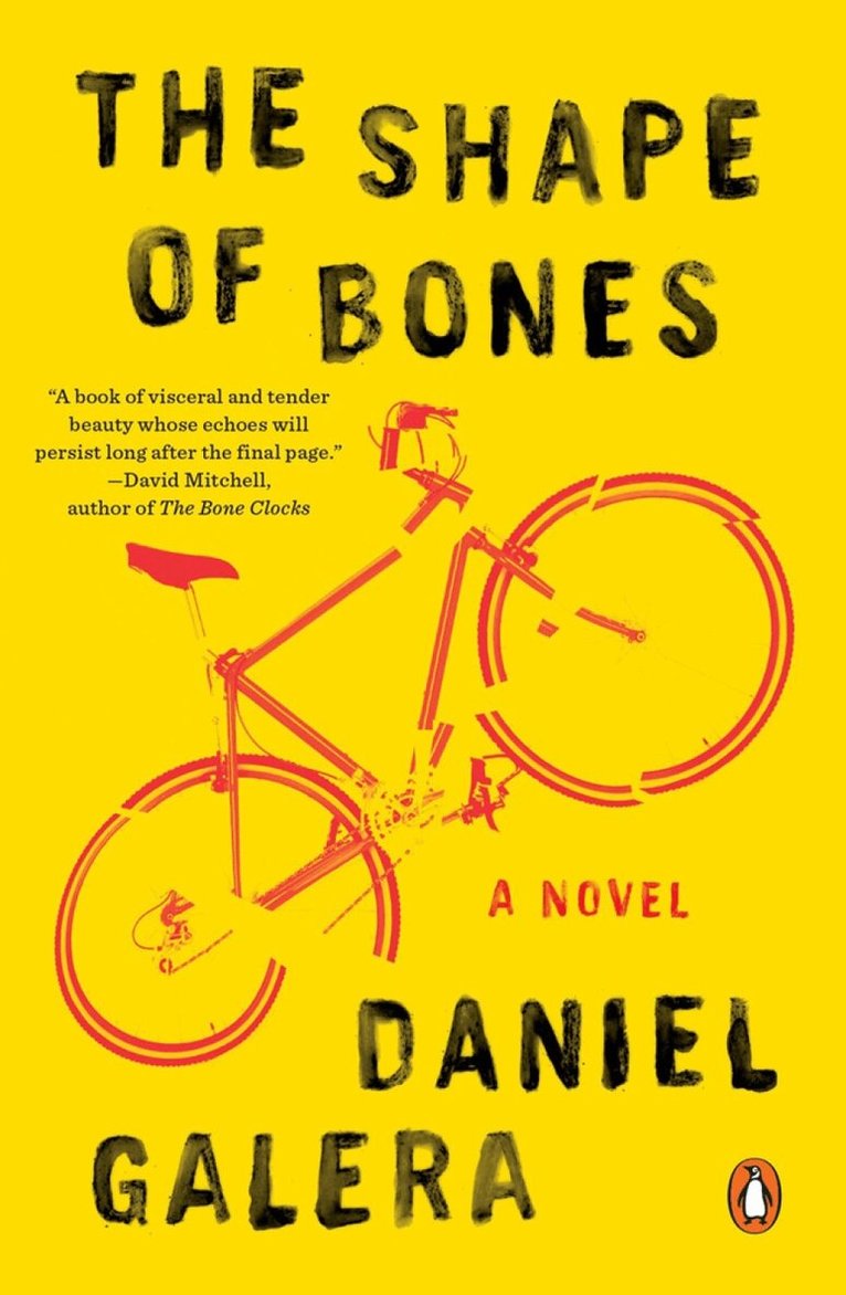Daniel Galera - Shape of Bones, Häftad