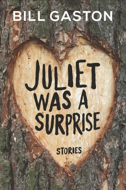 Bill Gaston - Juliet Was a Surprise, E-bok