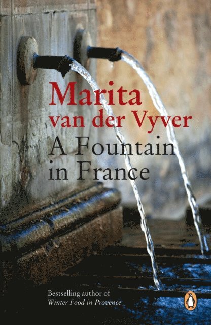 Marita van der Vyver - Fountain in France, E-bok
