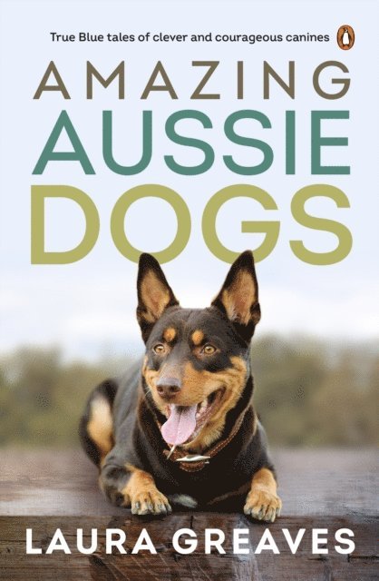 Laura Greaves - Amazing Aussie Dogs, E-bok