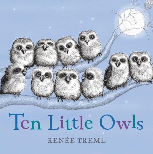 Renee Treml - Ten Little Owls, E-bok