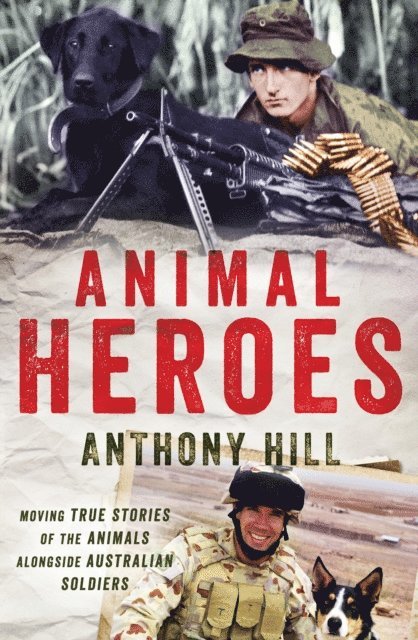 Anthony Hill - Animal Heroes, E-bok