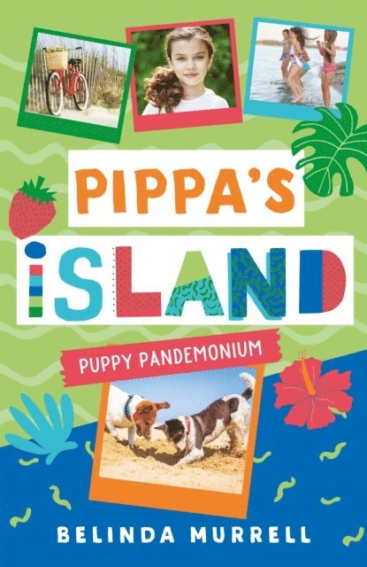 Belinda Murrell - Pippa's Island 5: Puppy Pandemonium, E-bok