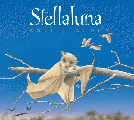 Janell Cannon - Stellaluna Board Book, Kartonnage