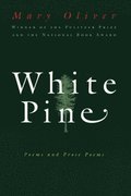 White Pine: Poems and Prose Poems