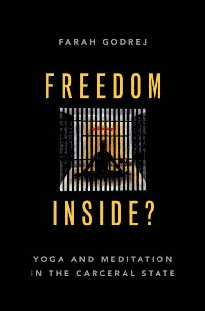 Farah Godrej - Freedom Inside?, E-bok