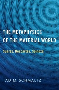 The Metaphysics of the Material World