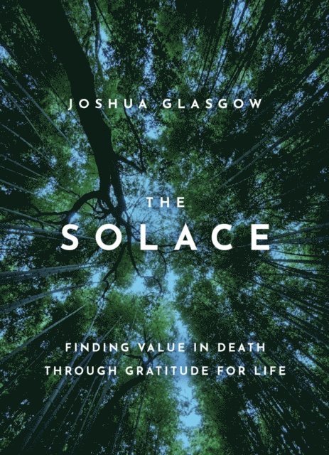 Joshua Glasgow - Solace, E-bok
