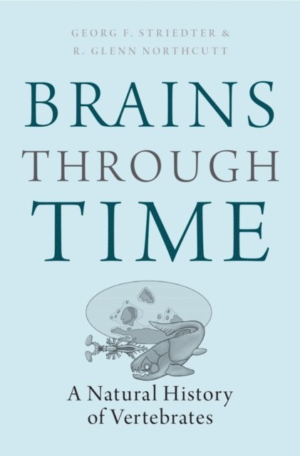 R. Glenn Northcutt, Georg F. Striedter - Brains Through Time, E-bok
