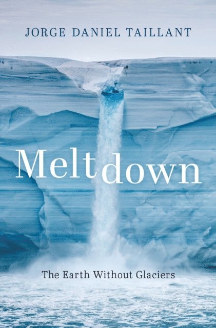Jorge Daniel Taillant - Meltdown, E-bok