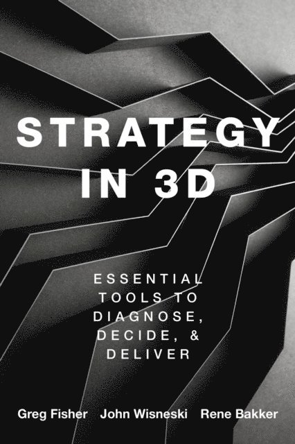 Rene M. Bakker, John E. Wisneski, Greg Fisher - Strategy in 3D, E-bok