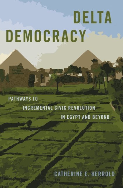 Catherine E. Herrold - Delta Democracy, E-bok