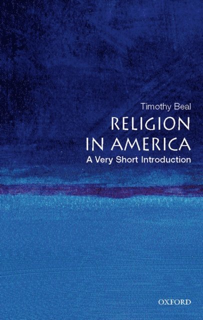 Timothy Beal - Religion in America, E-bok