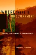 Where There is No Government