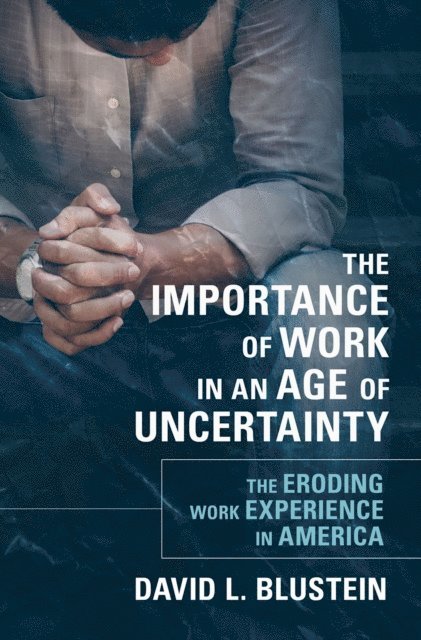 David L. Blustein - Importance of Work in an Age of Uncertainty, E-bok