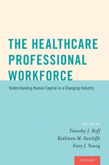 Gary J. Young, Kathleen M. Sutcliffe, Timothy J. Hoff - Healthcare Professional Workforce, E-bok