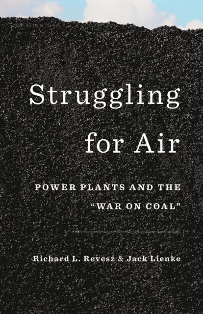 Jack Lienke, Richard Revesz - Struggling for Air, E-bok. Tillgänglighet: Lägg i varukorg