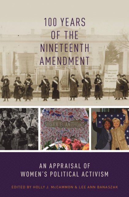 Lee Ann Banaszak, Holly J. McCammon - 100 Years of the Nineteenth Amendment, E-bok