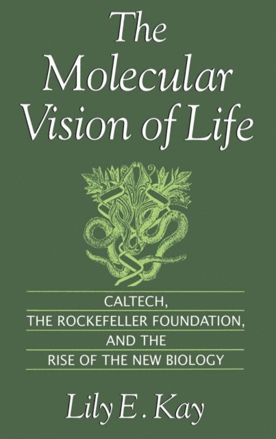 Lily E. Kay - Molecular Vision of Life, E-bok
