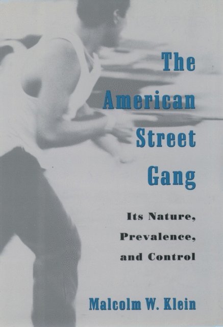 Malcolm W. Klein - American Street Gang, E-bok