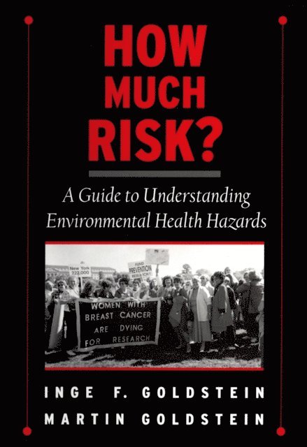 Martin Goldstein, Inge F. Goldstein - How Much Risk?, E-bok