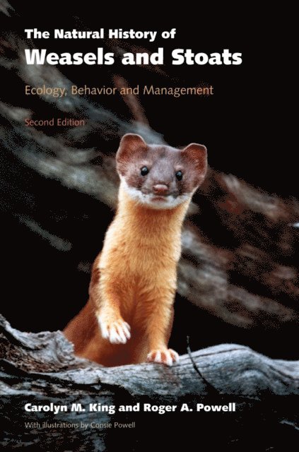 Roger A. Powell, Carolyn M. King - Natural History of Weasels and Stoats, E-bok