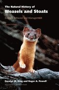 Natural History of Weasels and Stoats