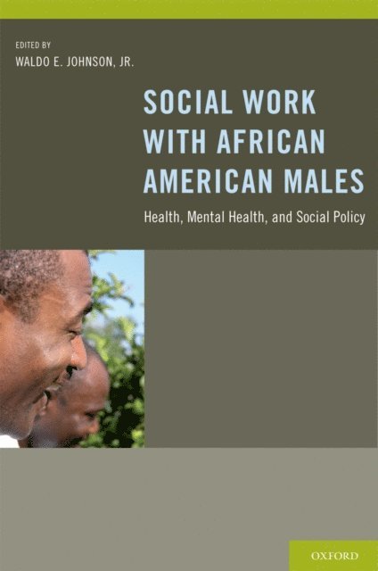 Waldo E. Johnson Jr. - Social Work With African American Males, E-bok