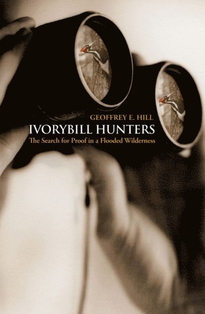 Geoffrey E. Hill - Ivorybill Hunters, E-bok