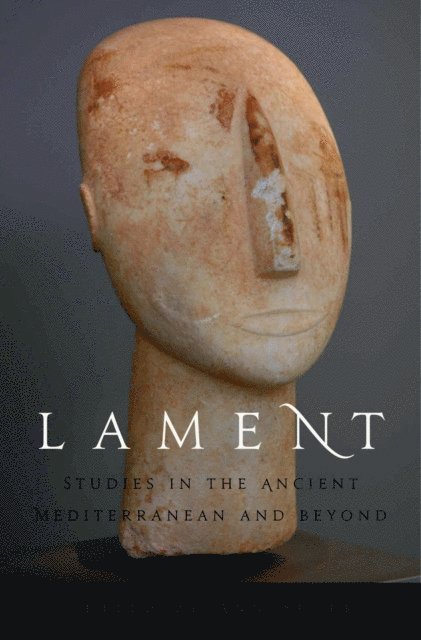 Ann Suter - Lament, E-bok