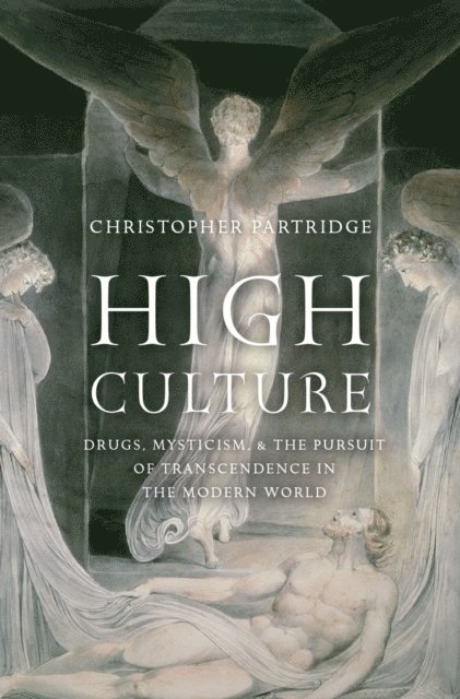 Christopher Partridge - High Culture, E-bok