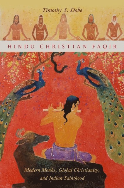 Timothy S. Dobe - Hindu Christian Faqir, E-bok