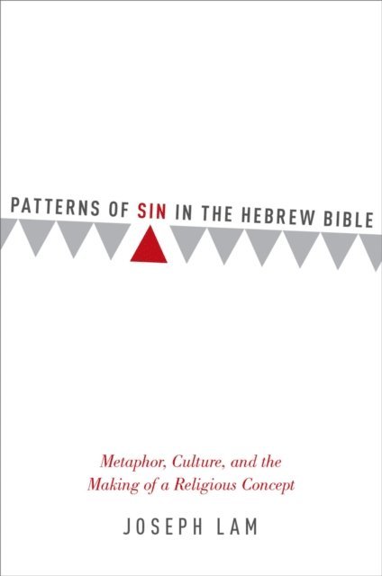 Joseph Lam - Patterns of Sin in the Hebrew Bible, E-bok