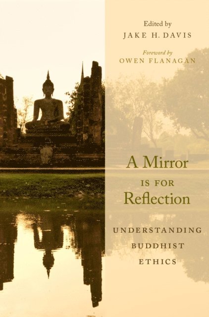 Jake H. Davis - Mirror Is for Reflection, E-bok