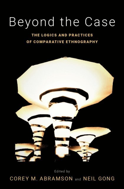 Neil Gong, Corey M. Abramson - Beyond the Case, E-bok