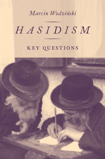 Marcin Wodzinski - Hasidism, E-bok