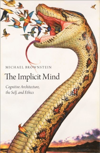 Michael Brownstein - Implicit Mind, E-bok