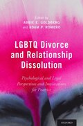 LGBTQ Divorce and Relationship Dissolution