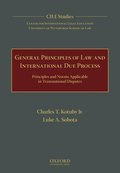 General Principles of Law and International Due Process