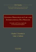 General Principles of Law and International Due Process