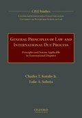 General Principles of Law and International Due Process