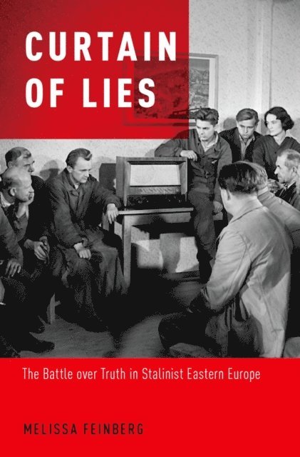 Melissa Feinberg - Curtain of Lies, E-bok