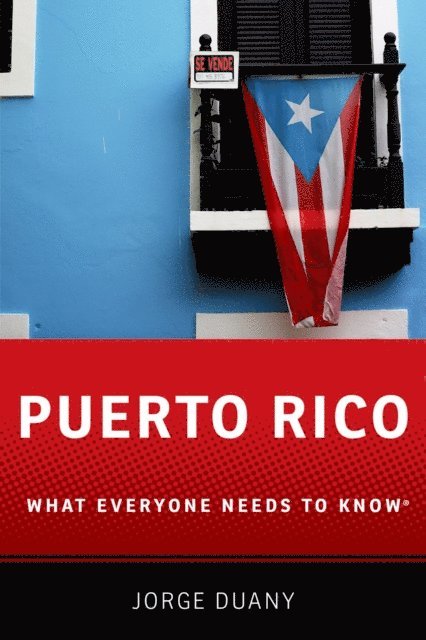 Jorge Duany - Puerto Rico, E-bok