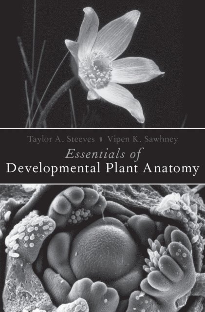 Vipen K. Sawhney, Taylor A. Steeves - Essentials of Developmental Plant Anatomy, E-bok